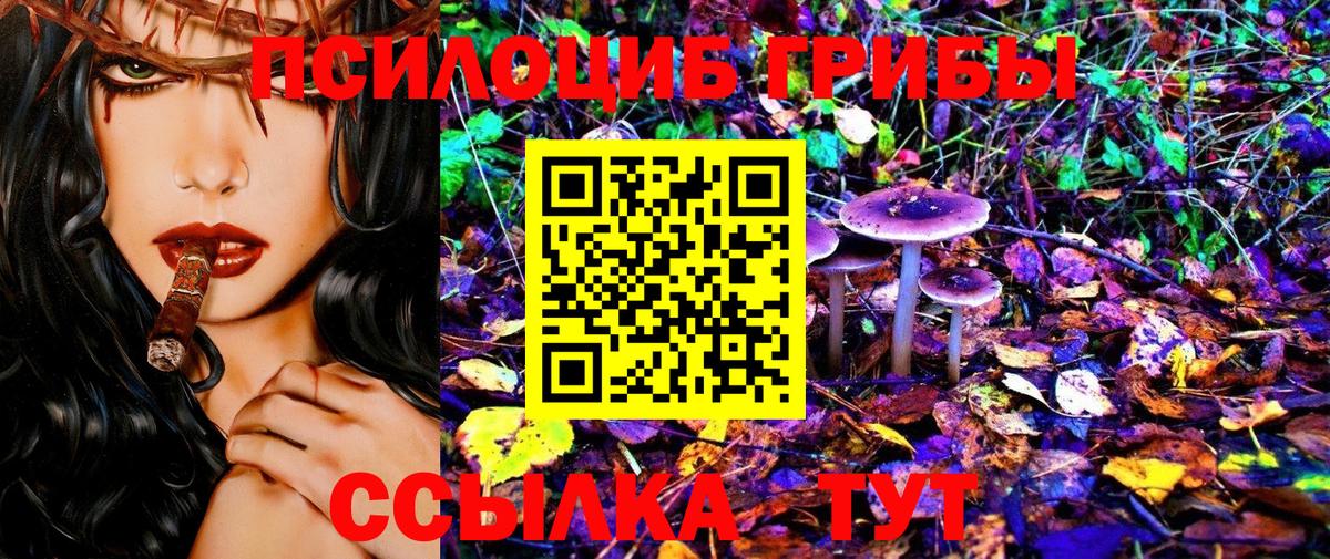 Галлюциногенные грибы Psilocybine cubensis  Вход с VPN  Ржев  Галлюциногенные грибы GOLDEN TEACHER 
